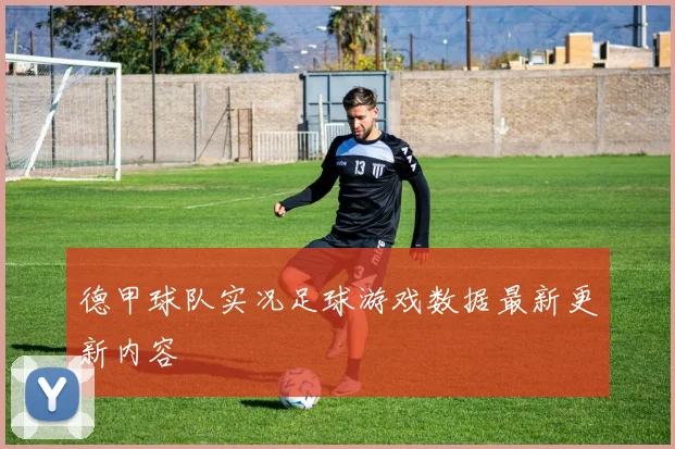 德甲球队实况足球游戏数据最新更新内容