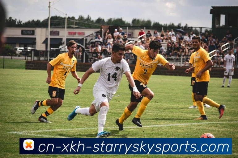 星空体育APP 封面图